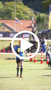 BIB:  <button type="button" onclick="openModal(26592441)" class="btn btn-primary btn-sm float-right" data-toggle="modal" data-target=".modal-high-quality">
                <i class="fa fa-download"></i> Download
                </button>